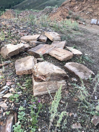 Плитняк кора дерева 50-100мм для пошаговых дорожек купить в Ставрополе